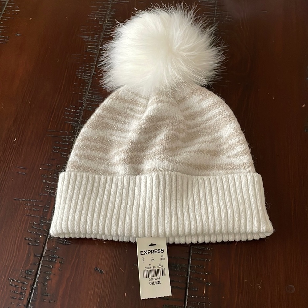 Express winter hat. Never been worn. New with tags.